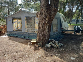 Room in Cabin - Caravan near the sea 4